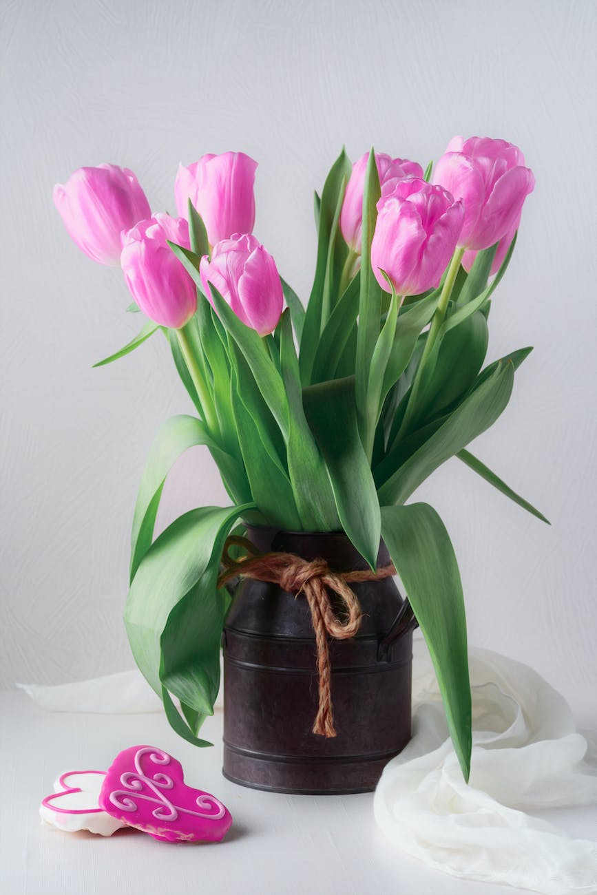 pink tulips in vase and cookies