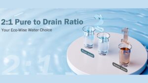 Read more about the article Top Reverse Osmosis System: Frizzlife Review