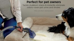 Read more about the article Best Pet Carpet Cleaner for Deep Cleaning