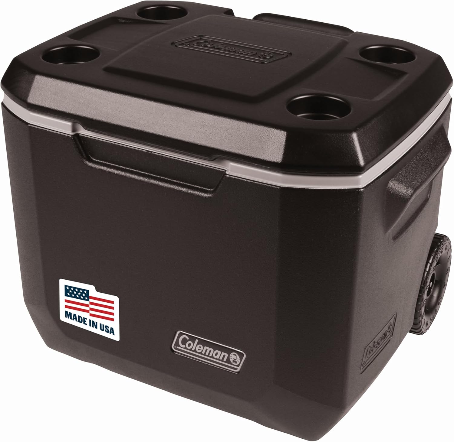 best beach coolers