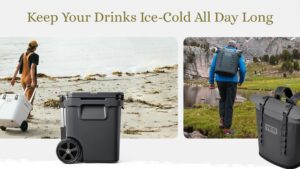 Read more about the article 11 Best Beach Coolers in 2025: Keep Your Drinks Ice-Cold All Day Long