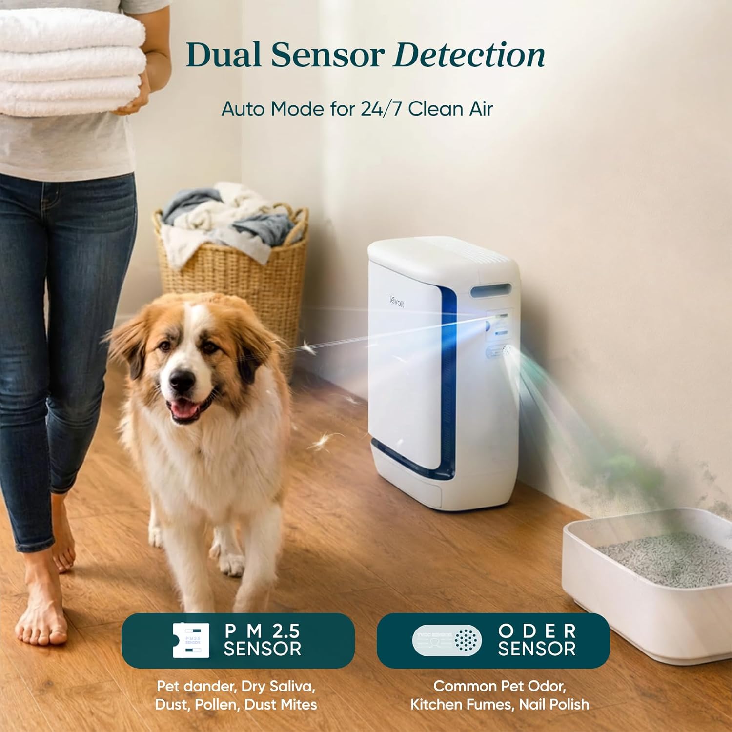 LEVOIT Vital Pet Pro placed near litter box area