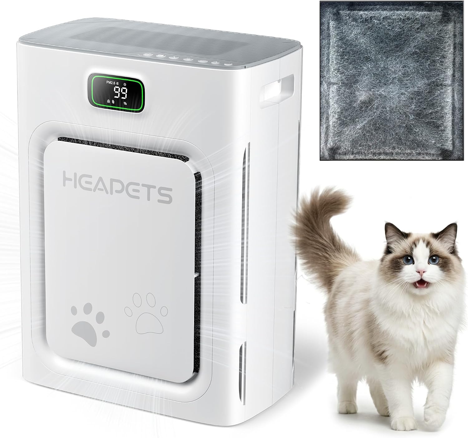 Pet air purifier for large rooms sitting near a couch with a dog nearby