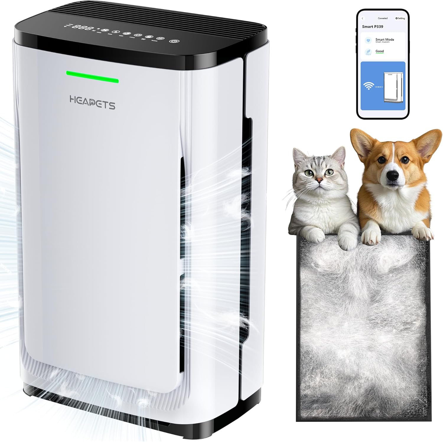 Best cat air purifier for large homes with pets