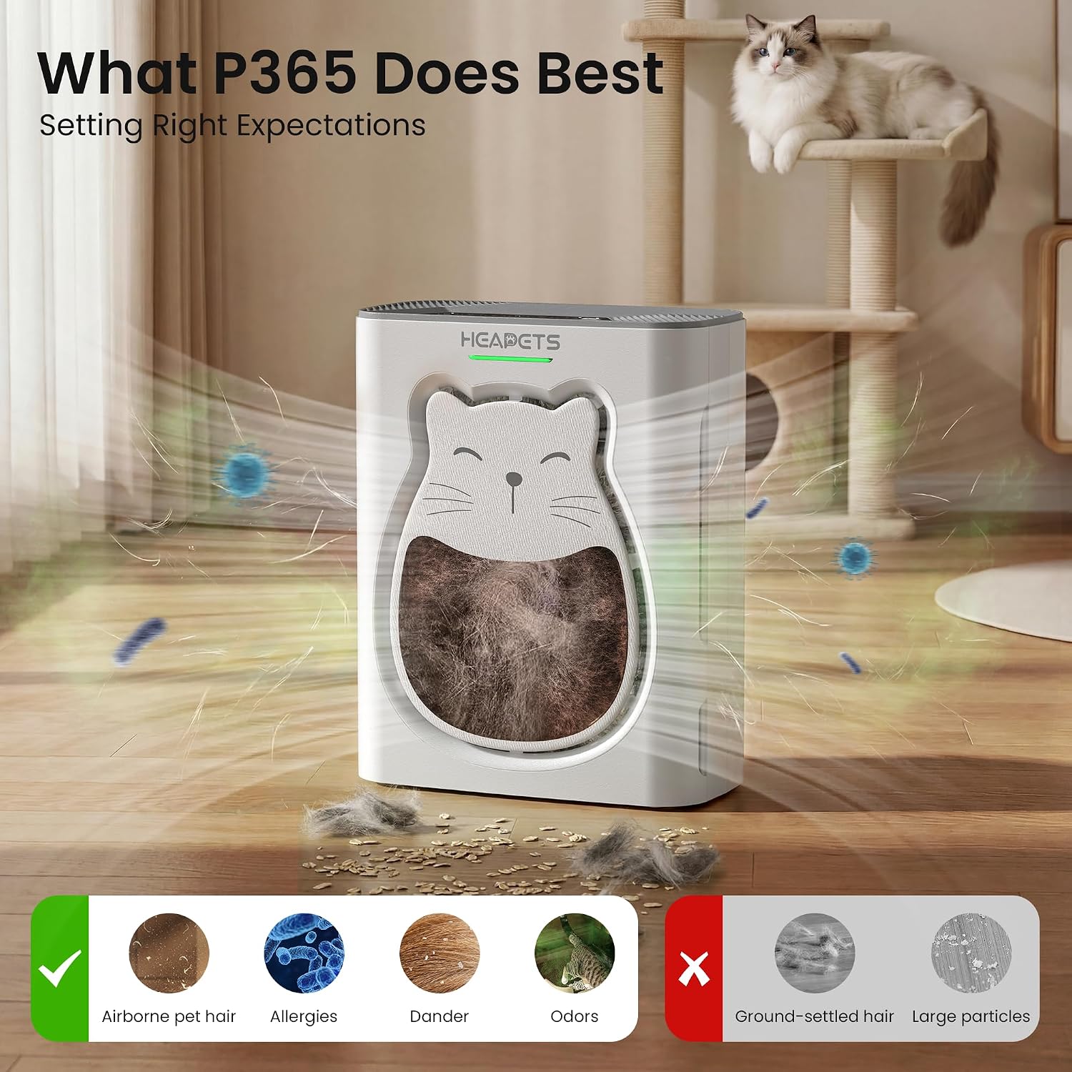 P365 pet air purifier bedroom placement
