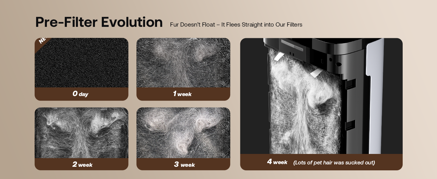 best cat air purifier - Odor elimination results near litter box area