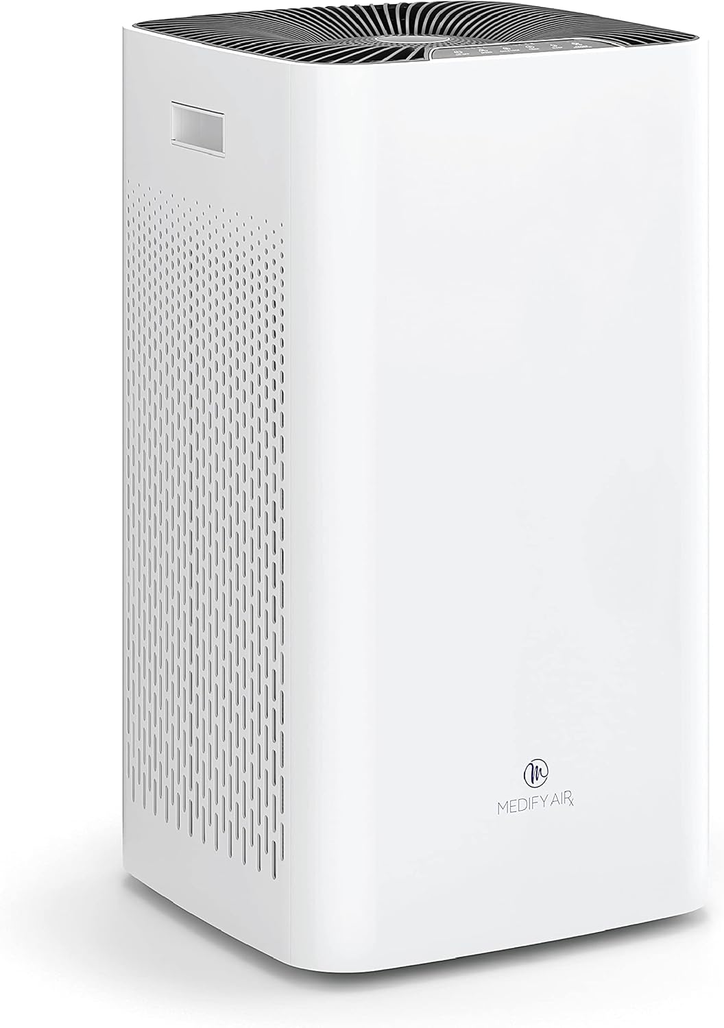 Best Air Purifier for Large Homes With Pet