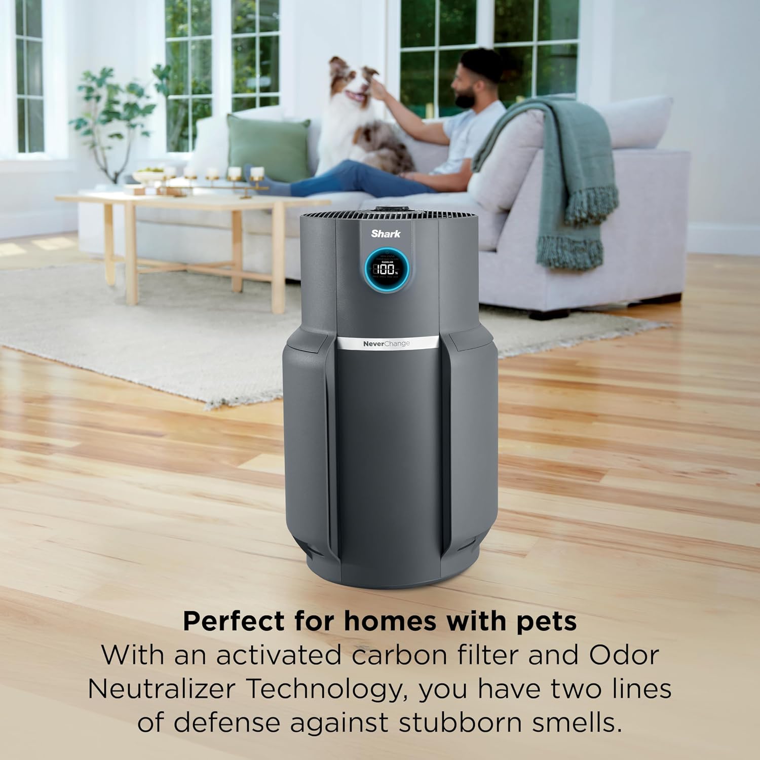 best air purifier for pet hair